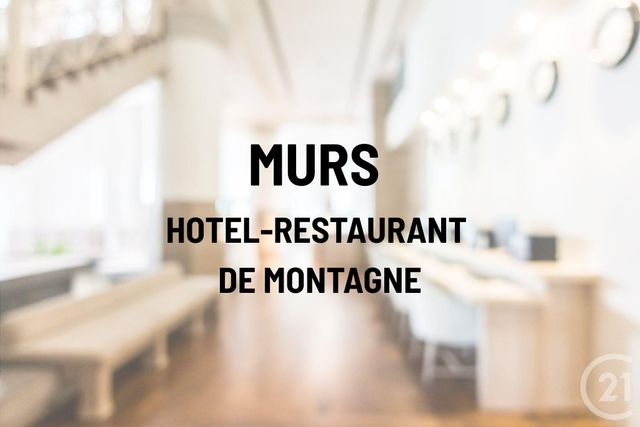 Commerce à vendre None